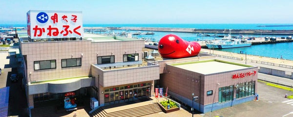 ★10/24 催行決定★【横浜発】真っ赤に染まるひたち海浜公園と那珂湊おさかな市場でのお買い物!”ふわふわもこもこ”のコキアを満喫!3